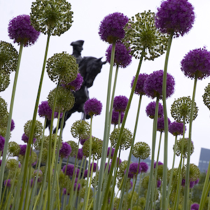 29-BAC 1X1-George Washington